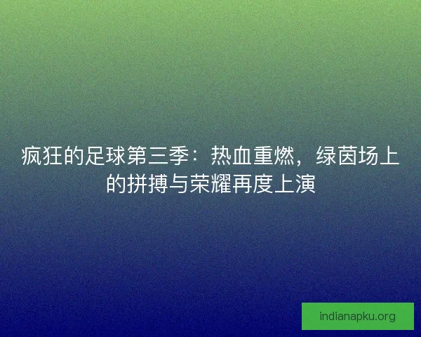 疯狂的足球第三季：热血重燃，绿茵场上的拼搏与荣耀再度上演